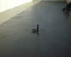 floor10.jpg (92601 bytes)